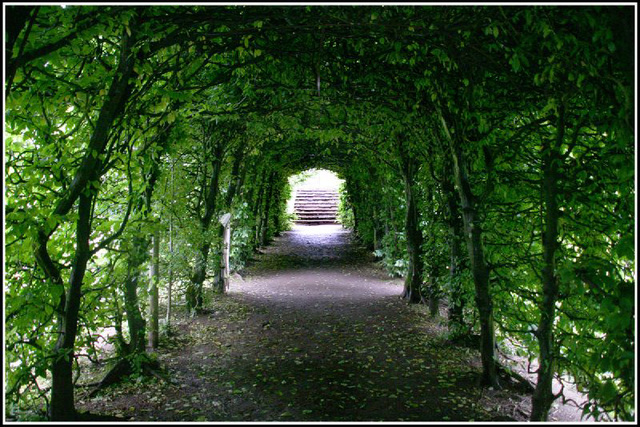 green tunnel