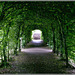 green tunnel