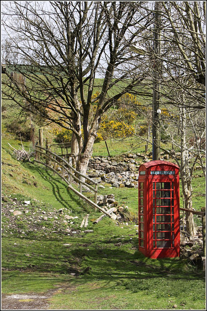 Box in a field