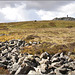 Garn Fawr Bronze Age burial cairn