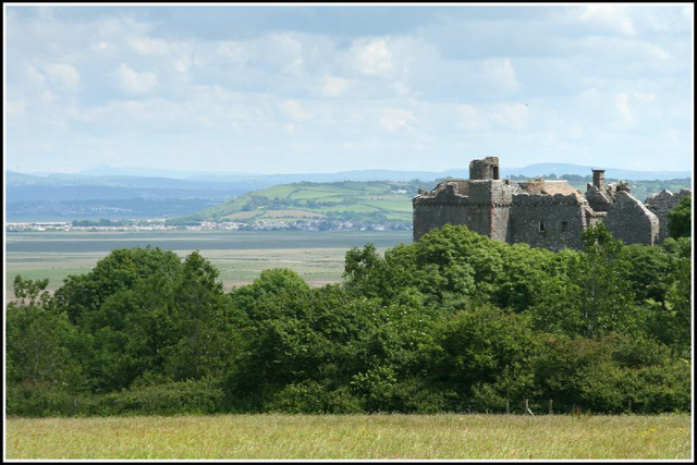 Weobley Castle