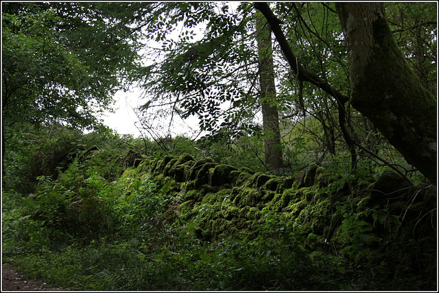 The green wall
