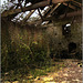 Barn interior