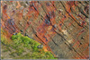 rust