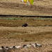 paragliding at Stanage Edge