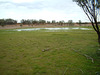 2062 Cunnamulla region 002