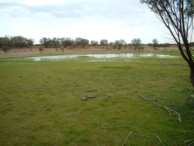 2062 Cunnamulla region 002