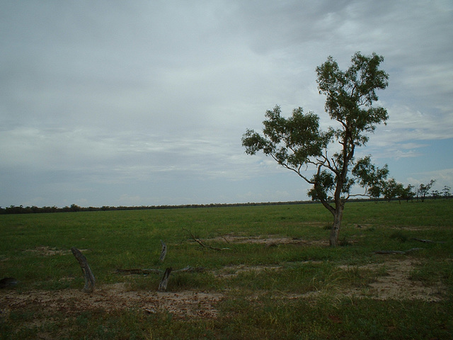 2068 Cunnamulla region 008