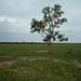 2069a Cunnamulla region 010