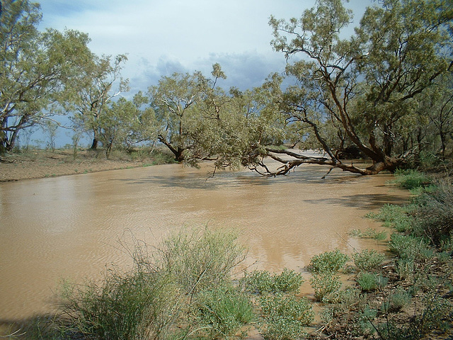 2075 Cunnamulla region 015