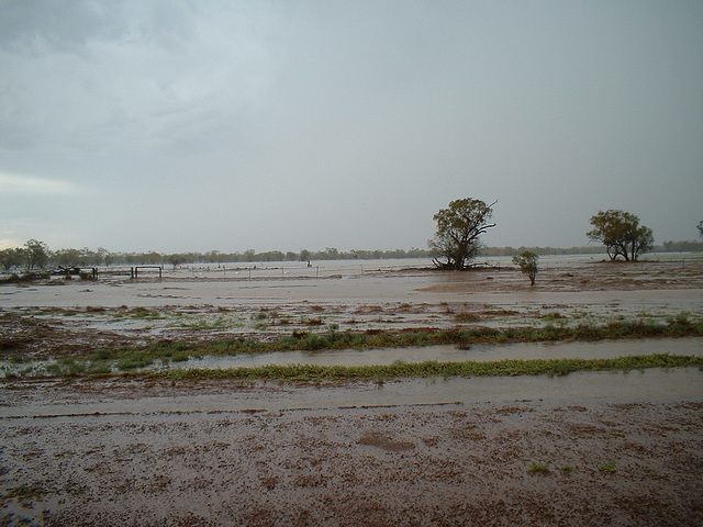 2081 Cunnamulla region 021