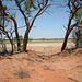 2092 Bourke - Wanaaring 008