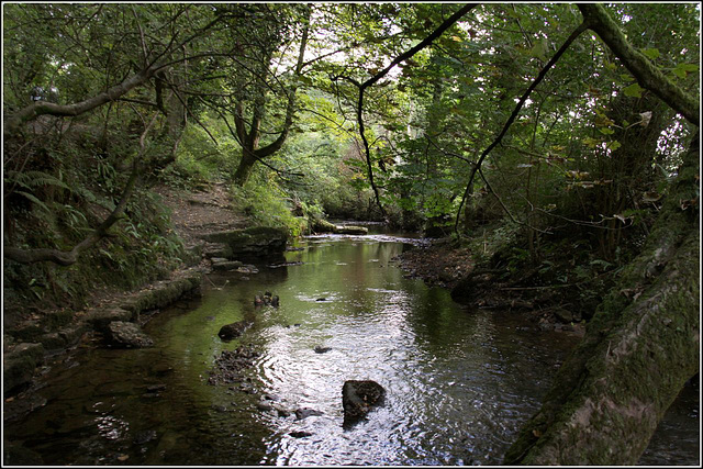 A Gower stream