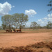 2104 Wanaaring - Tibooburra 003