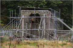 Glyn Pits near Pontypool