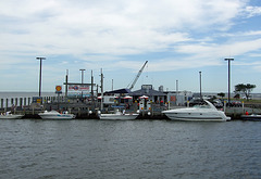 Bay Shore Dock from the Ferry, June 2007