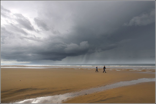 Beach Walkers