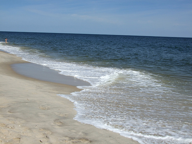 The Beach on Fire Island, June 2007