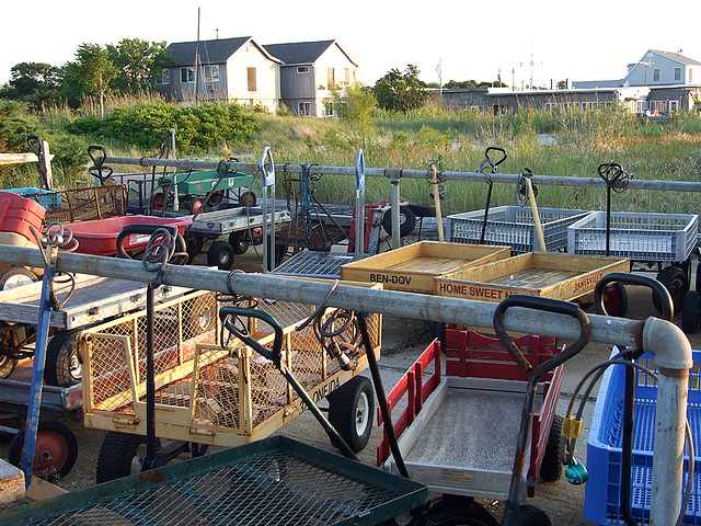 Little Wagons at the Ferry Dock on Fire Island, June 2007