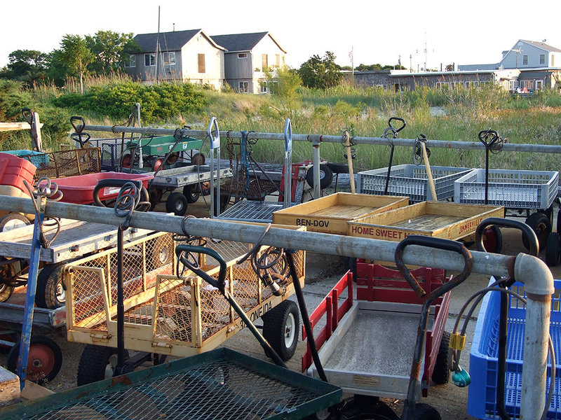 Little Wagons at the Ferry Dock on Fire Island, June 2007