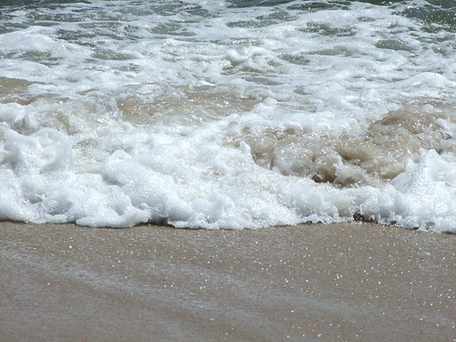 The Beach on Fire Island, June 2007