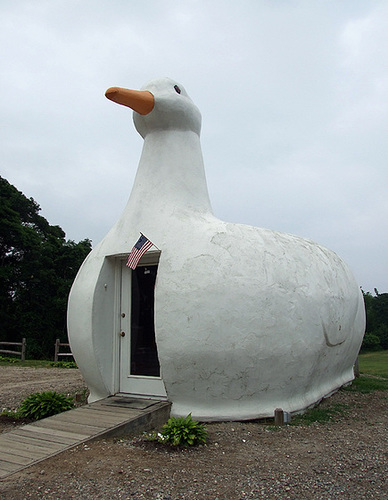 ipernity: The Big Duck in Flanders, July 2008 - by LaurieAnnie