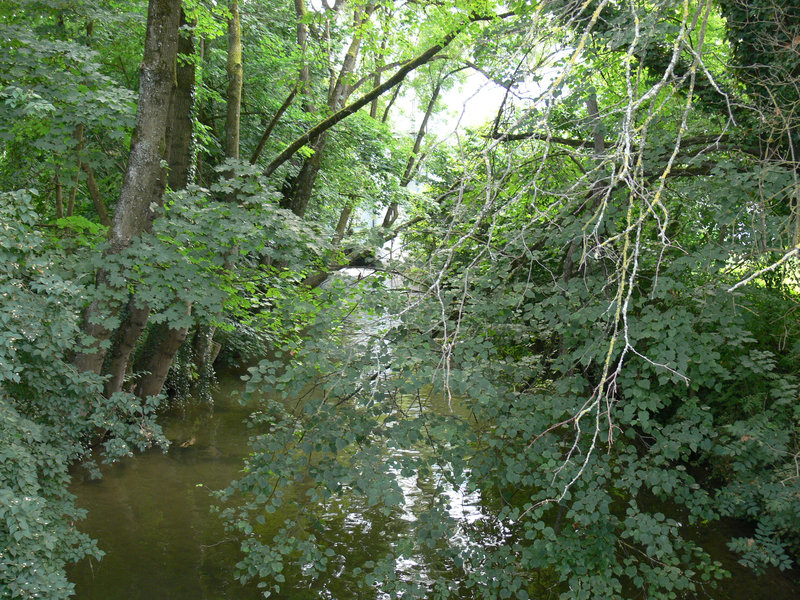 Freising - mitten in der Stadt