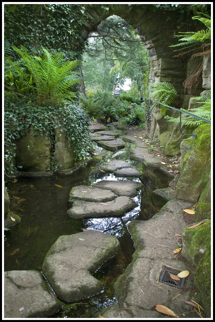 the stepping stones