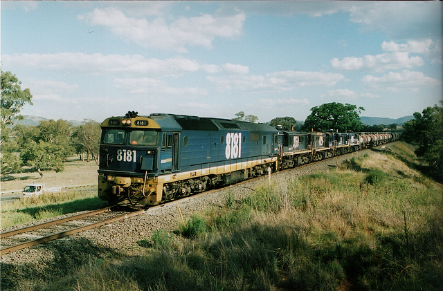 200701Murrula