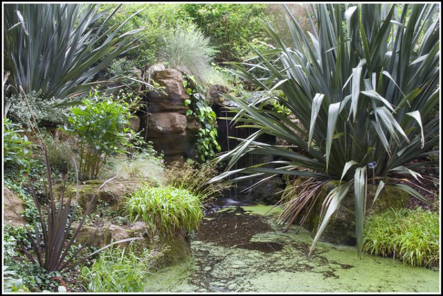 rock gardens