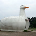 The Big Duck in Flanders, July 2008