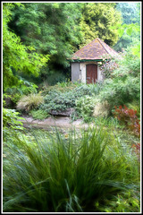 pond view