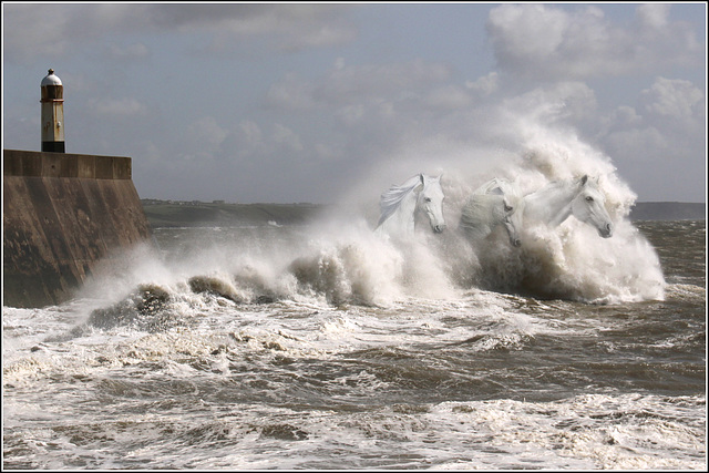 White Horses