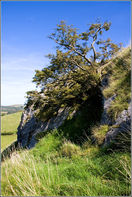 Rockery