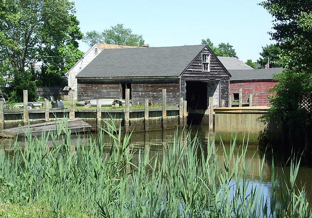 Bullrushes and Boathouse in Seaford, May 2010