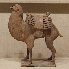 Camel in the Metropolitan Museum of Art, April 2009