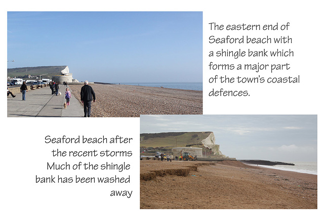 Seaford beach - Martello & shingle - 19.2.2014