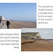 Seaford beach - Martello & shingle - 19.2.2014
