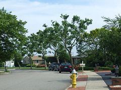 The Bend in Shore Drive in Copiague Harbor, June 2011