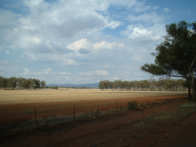 2191 Parkes area 002