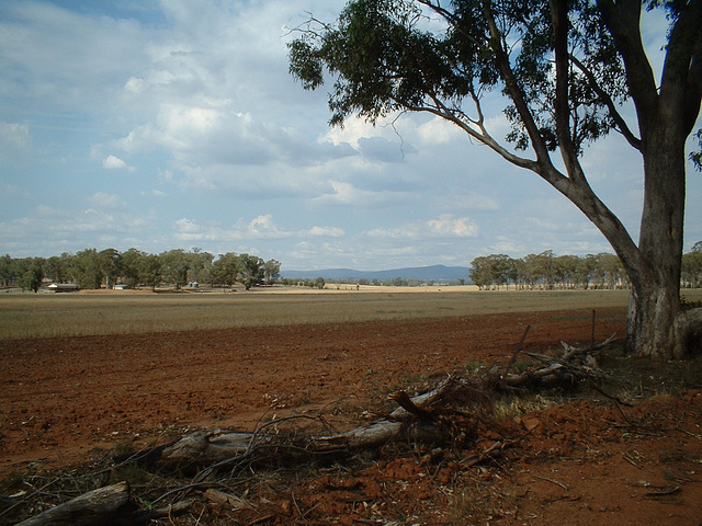 2192 Parkes area 003