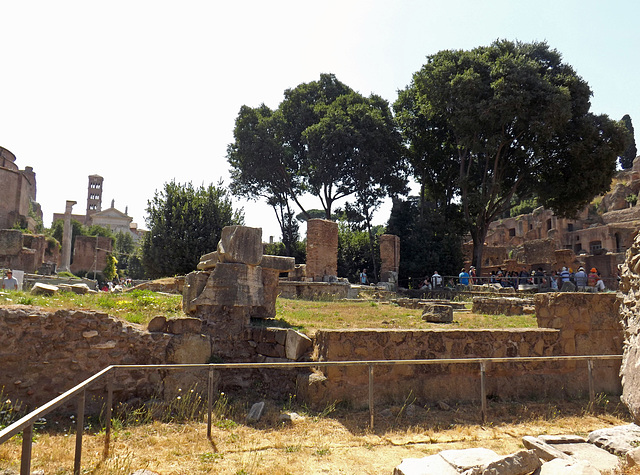 The Regia in the Roman Forum, July 2012