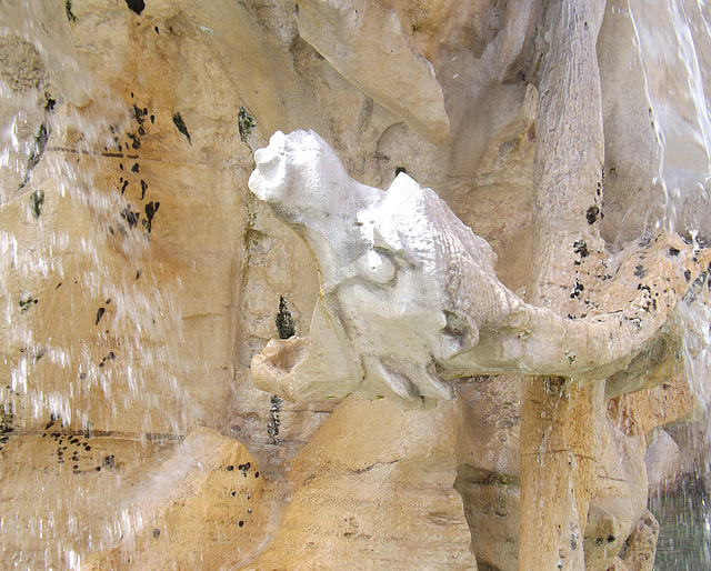 Detail of a Sea Monster from Bernini's Four Rivers Fountain in Piazza Navona, June 2012