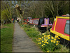 another spring at Hythe Bridge