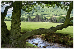 hillside stream