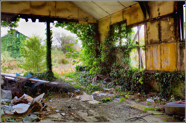 Shed interior