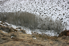 IMG_4597