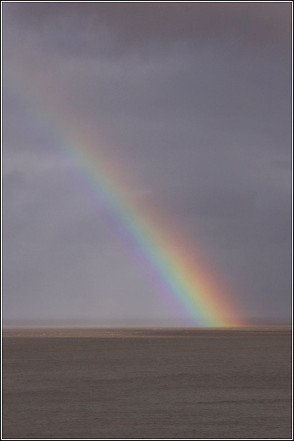 Estuary rainbow