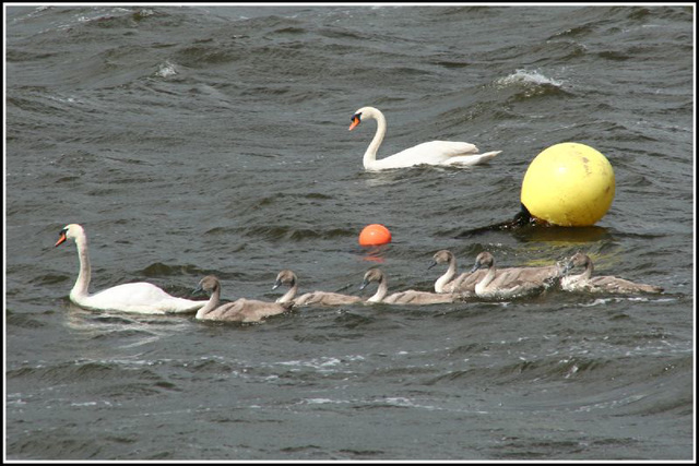 family day out