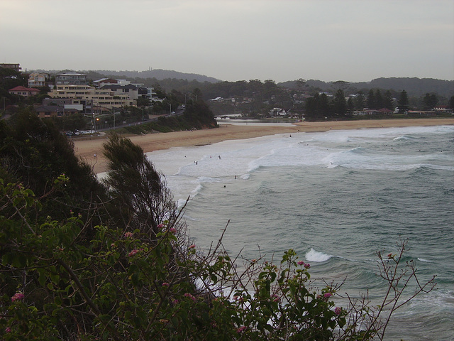 1037 Terrigal view 002